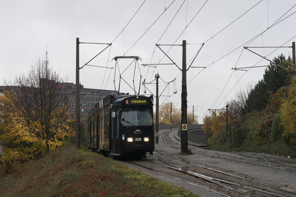 20131120 0007