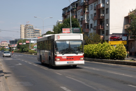 DSC00441