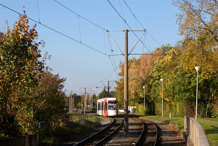 DSC00387