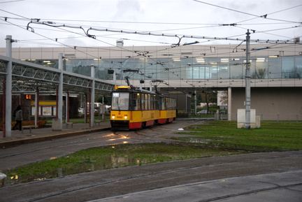 DSC00551