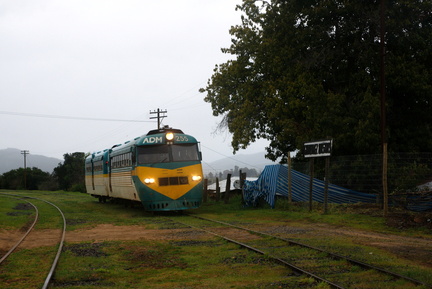 DSC00917