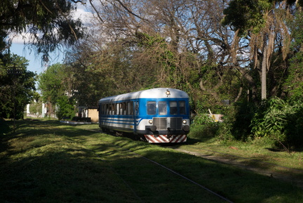 DSC00253