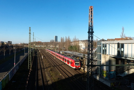 DSC00529