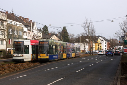 DSC00682