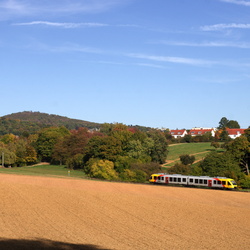 2022-10-11 Niederursel/Königstein
