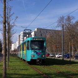 2023-02-20 Frankfurt-Rebstock/-Louisa
